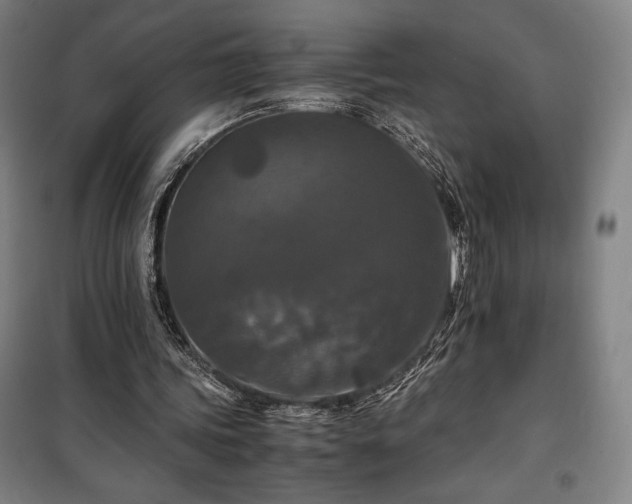 X0000100310339200806121045