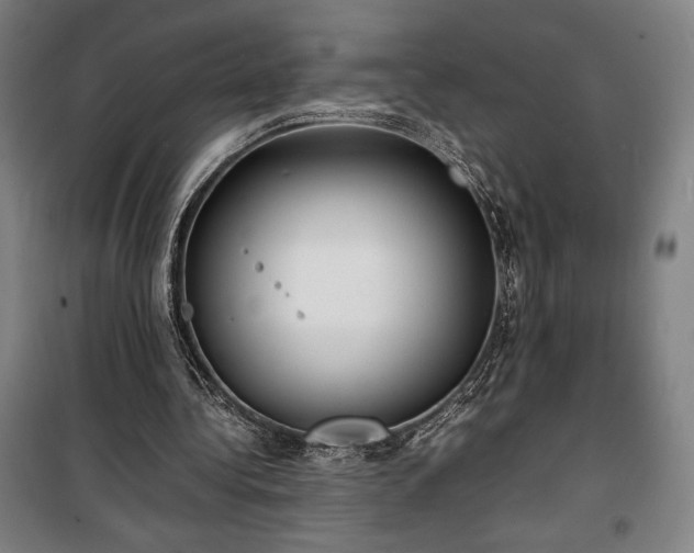 X0000100310340200806121045