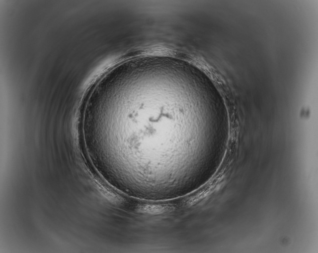 X0000100310341200806121045