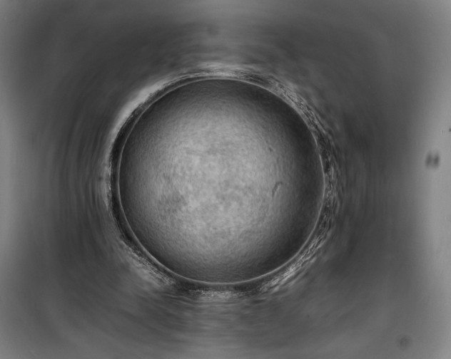 X0000100310342200806121045