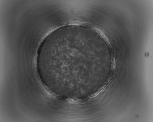 X0000100310346200806121045