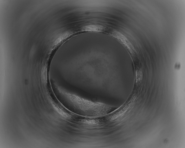X0000100310349200806121045