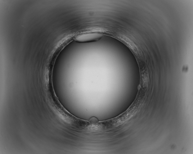 X0000100310350200806121045