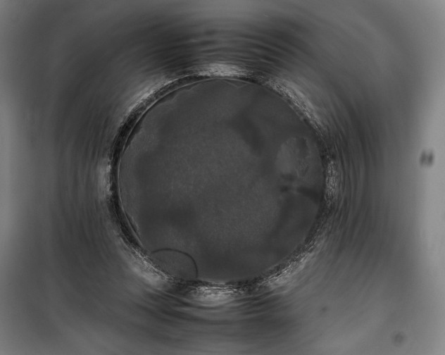 X0000100310351200806121045