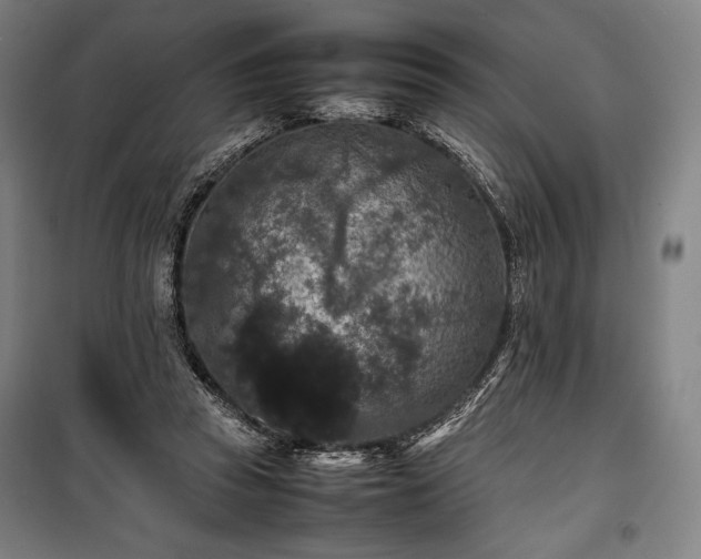 X0000100310353200806121046