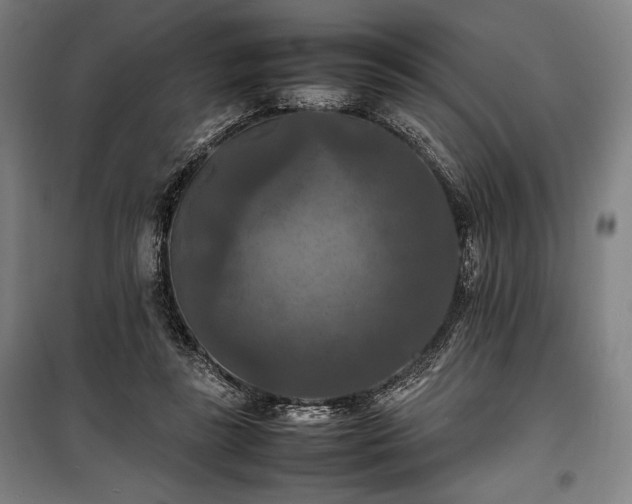 X0000100310355200806121046