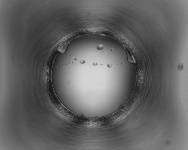 X0000100310356200806121046