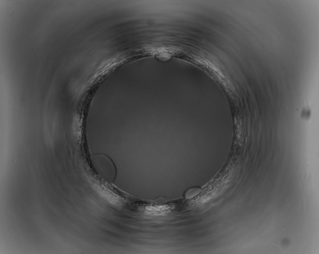 X0000100310357200806121046