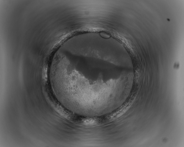 X0000100310358200806121046