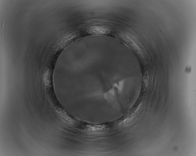 X0000100310359200806121046