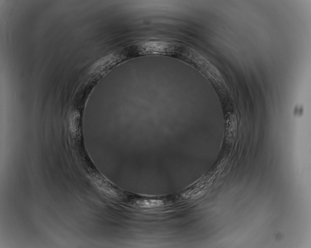 X0000100310361200806121046