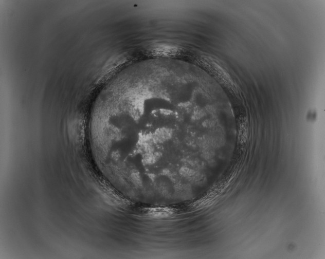 X0000100310363200806121046