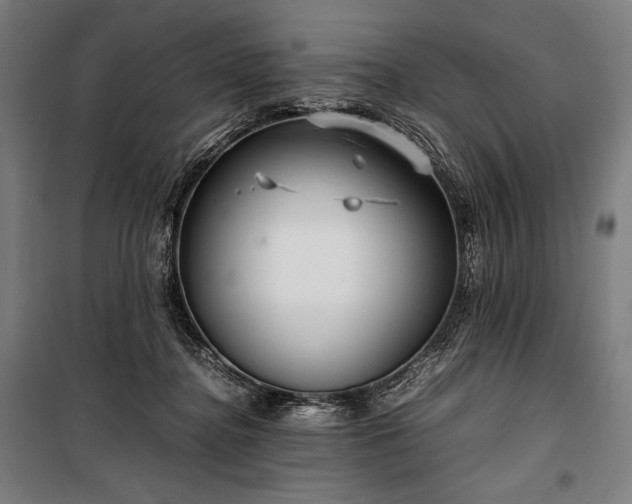 X0000100310364200806121046