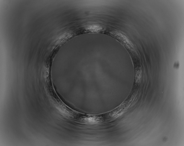 X0000100310365200806121046