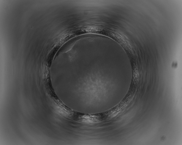 X0000100310367200806121046
