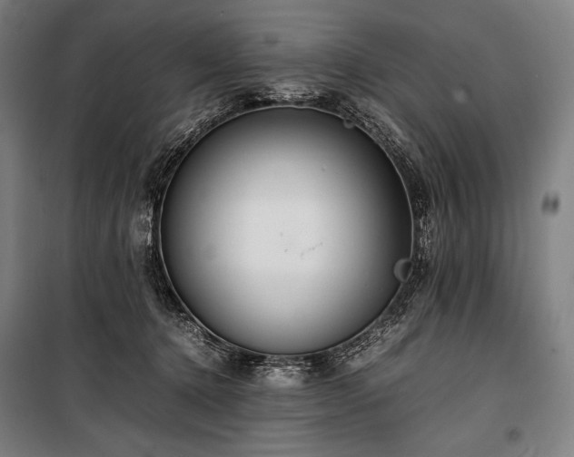 X0000100310368200806121046