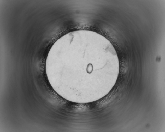 X0000100310370200806121046