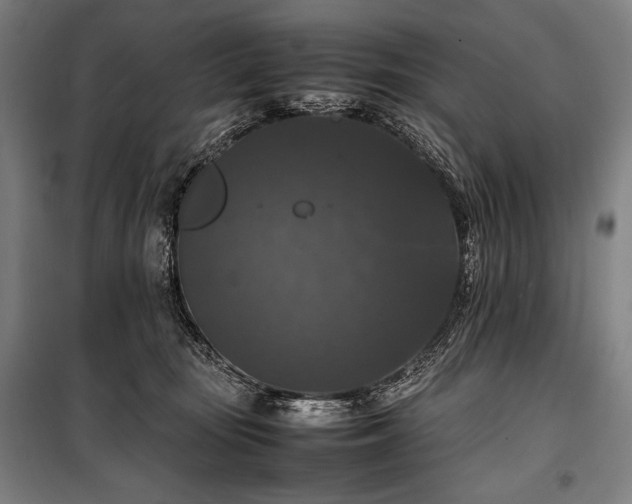 X0000100310371200806121046