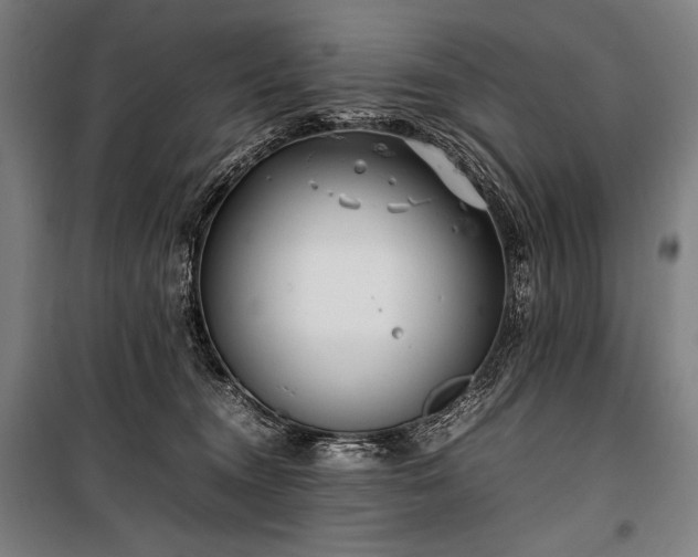X0000100310372200806121046