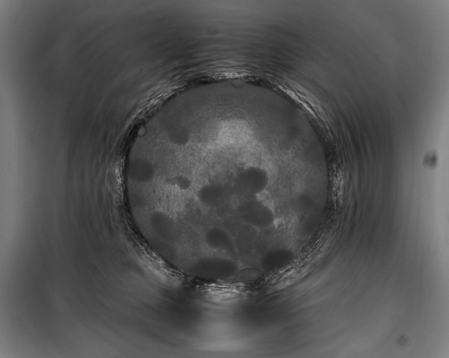 X0000100310373200806121046