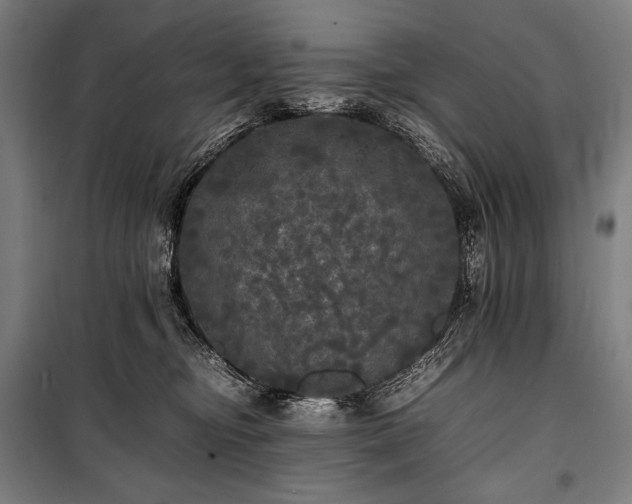 X0000100310374200806121046