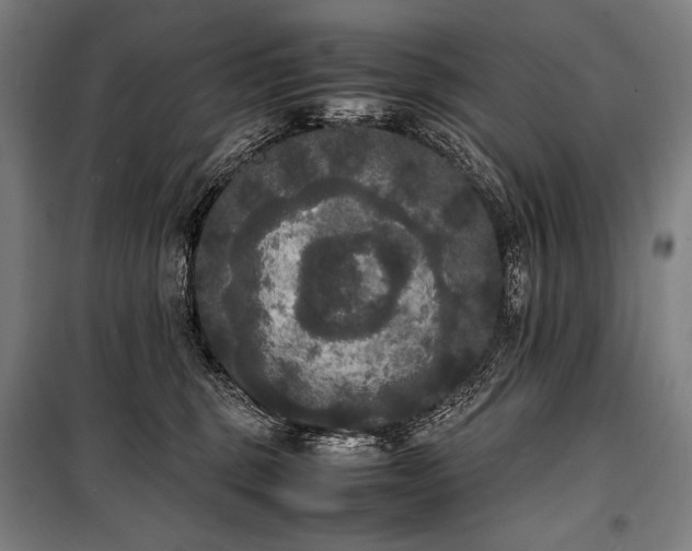 X0000100310375200806121046