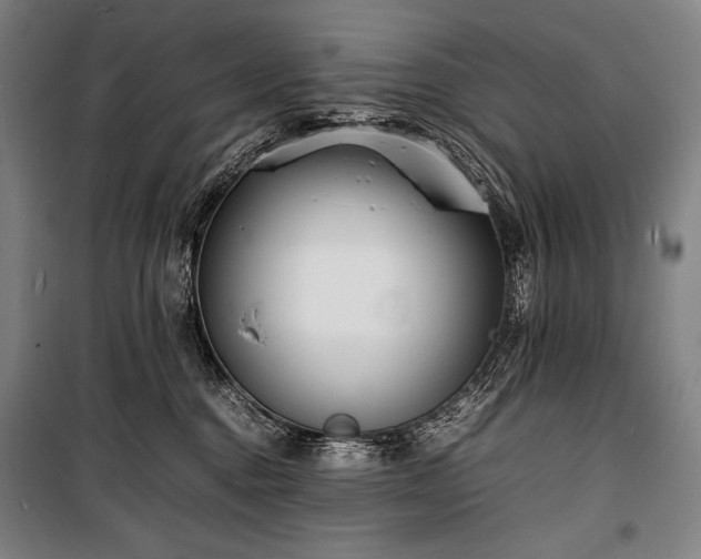 X0000100310376200806121046