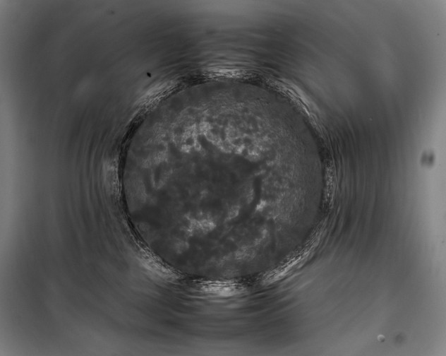 X0000100310377200806121046