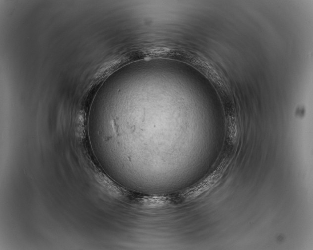X0000100310378200806121046