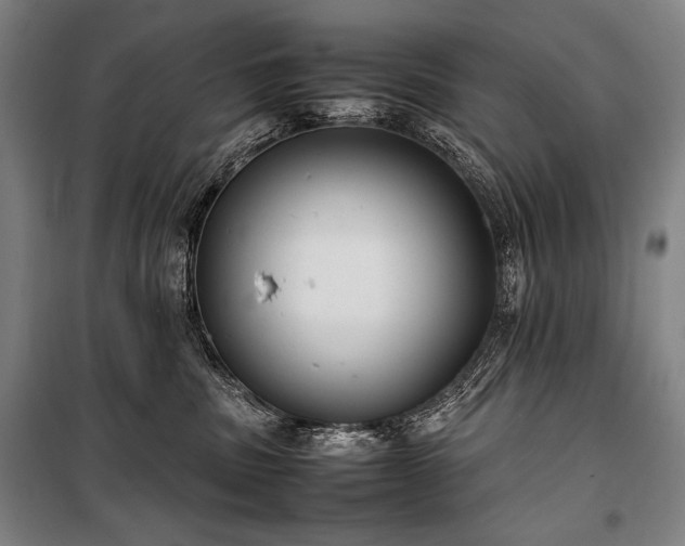X0000100310379200806121046