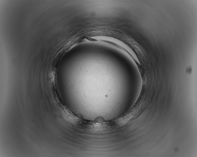 X0000100310382200806121046