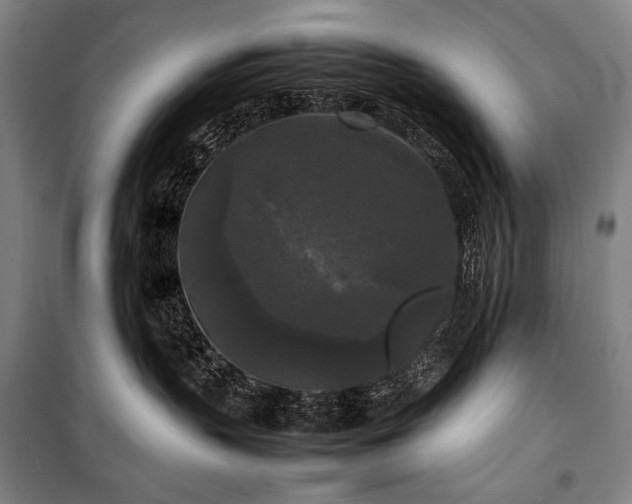 X0000100310383200806121046