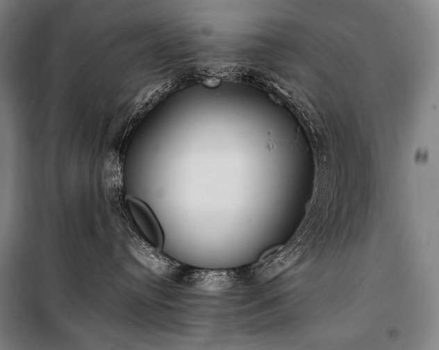 X0000100310384200806121046