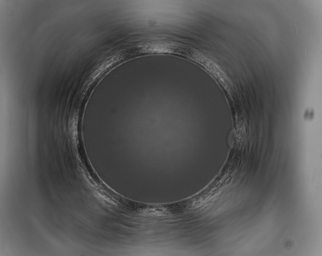 X0000100310386200806121045