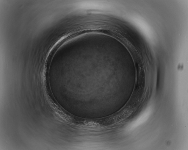 X0000100310387200806121045