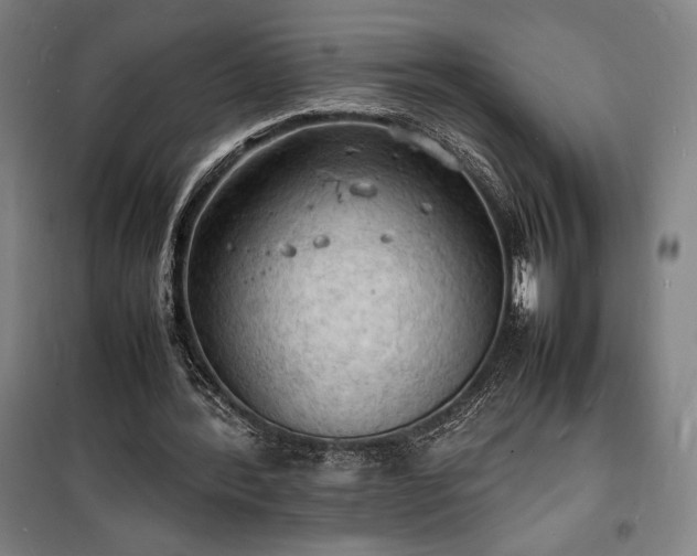 X0000100310388200806121045
