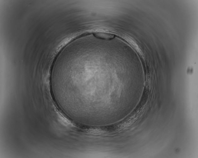 X0000100310389200806121045