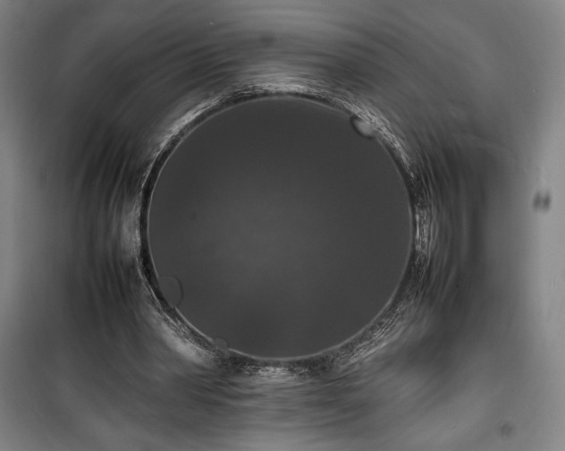 X0000100310390200806121045
