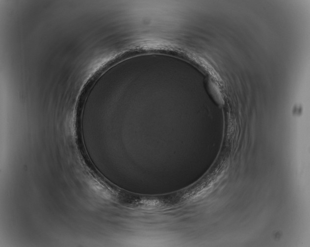 X0000100310391200806121045