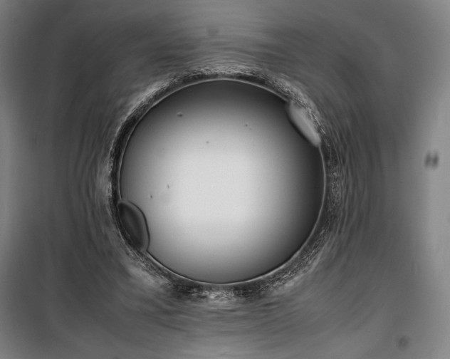 X0000100310395200806121045