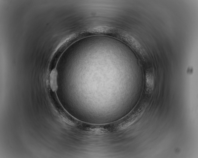 X0000100310396200806121045