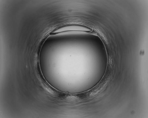 X0000100310397200806121045