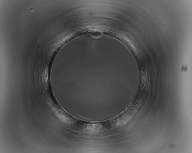 X0000100310398200806121045