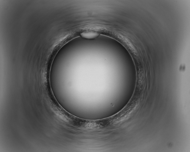 X0000100310399200806121045