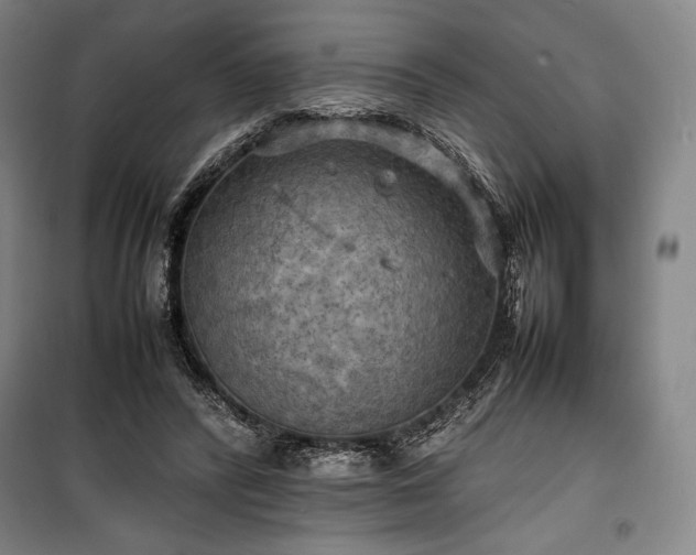 X0000100310400200806121045