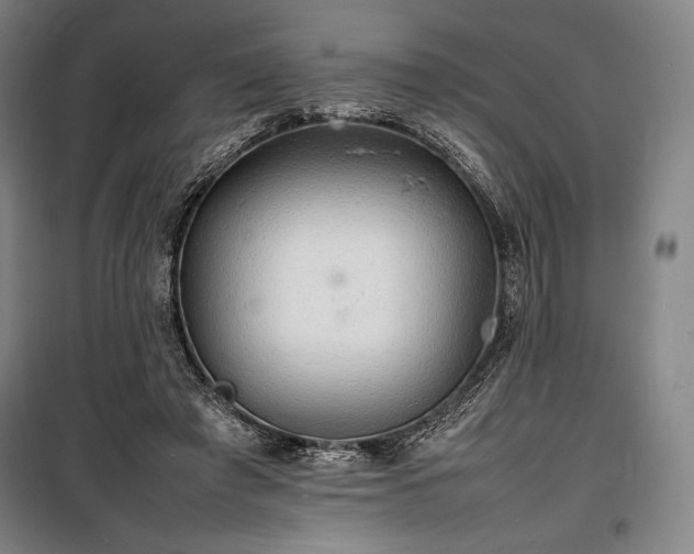 X0000100310401200806121045