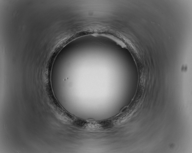 X0000100310403200806121045