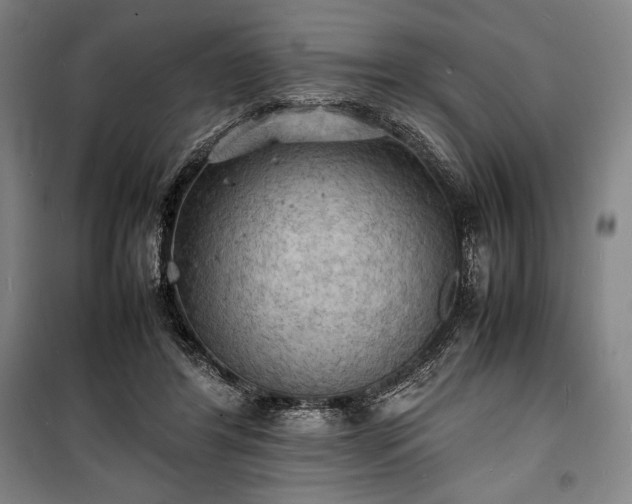 X0000100310404200806121045