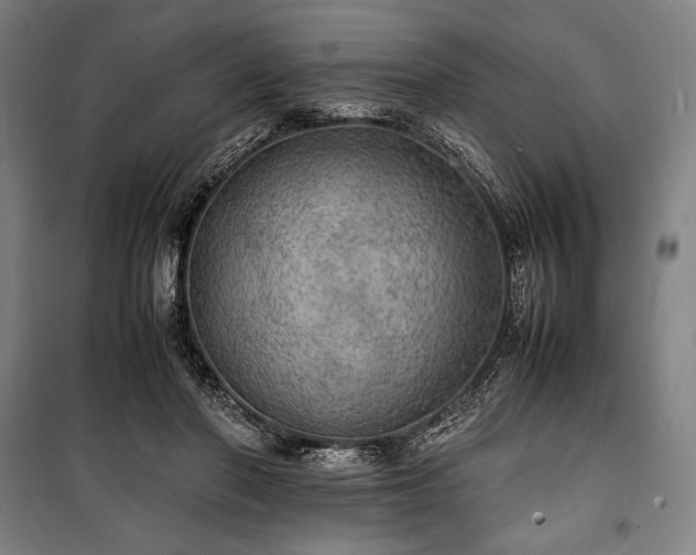 X0000100310406200806121045