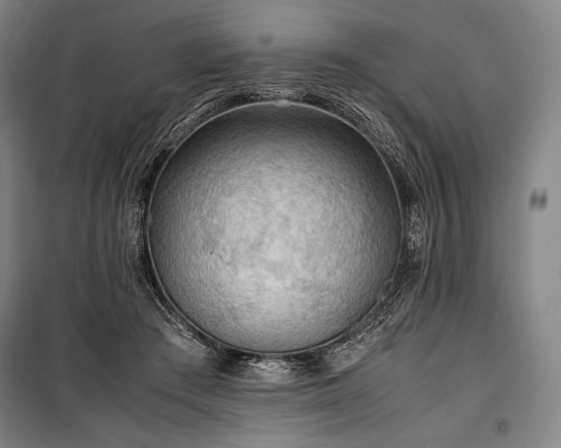 X0000100310409200806121045